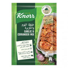 Knorr Garlic Coriander Mix 37gm 