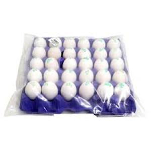 AL RAWDETEN EGGS 60/70 TRAY 30 EGGS