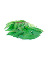 CURRY LEAVES - INDIA - PACKET 