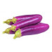 EGG PLANT LONG 1 KGS EGG PLANT LONG 1 KGS
