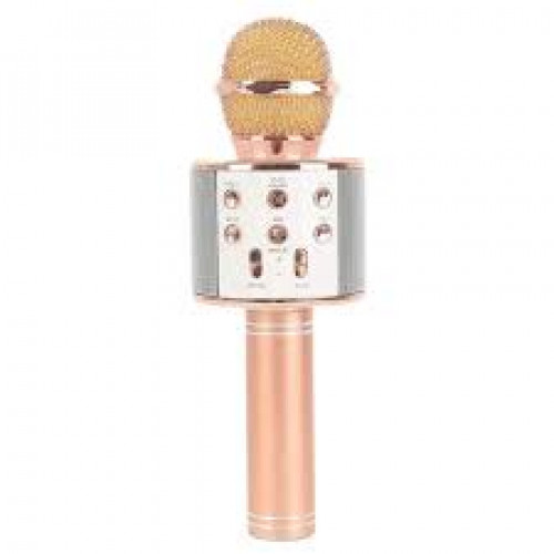WSTER MIC WITH SPEAKER WS-858