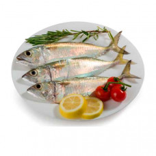 Fresh Mackerel Fish Small - 1Kg (Approx) 