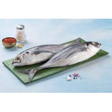 PARA MACKEREL 1 KGS