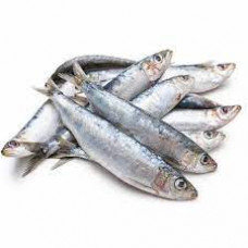 SARDINE FISH SMALL INDIA