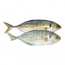 HAMAM FISH 1 KGS