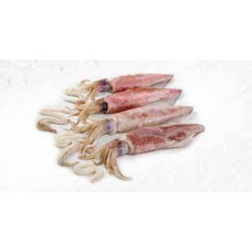 SQUID FISH 1 KGS