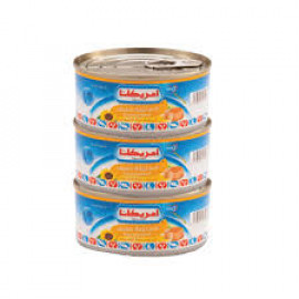 Americana Light Tuna Chunky 3 X 160Gm