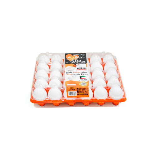 AFIA KUWAITI WHITE EGG TRAY ( PLASTIC ) 30 S