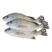 Fresh Nagroor Fish 1Kg (Approx) 