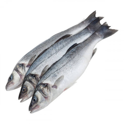 Fresh Sea Bass Fish - Turkey - 1Kg (Approx)  Fresh Sea Bass Fish - Turkey - 1Kg (Approx)